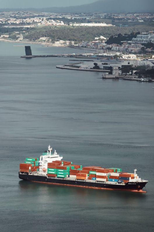 黄狗外贸物流海运实拍